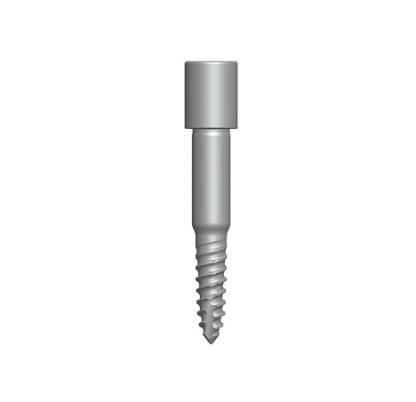 Фиксирующий винт 15 мм DGAS06, Dentium (Ю.Корея)